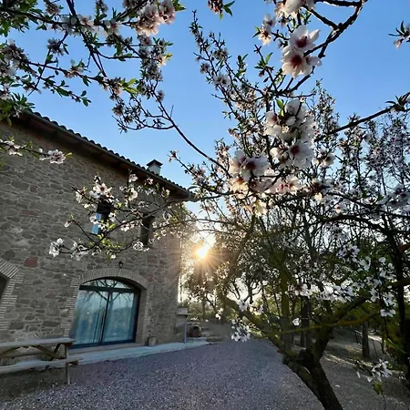 Ca L'artigalas Villa *
